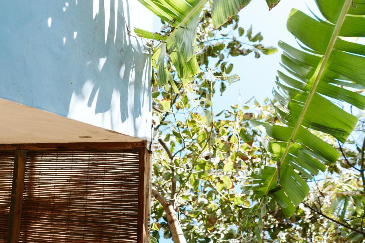 הוילה ארוקאס Tortuga Blue House In Banana Plantation מראה חיצוני תמונה